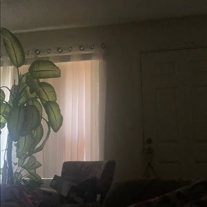 Meet your Posher, Saidee